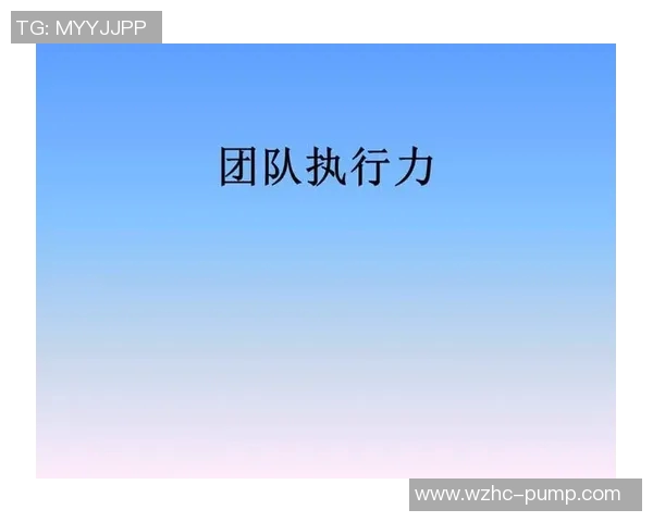 世界大师赛中LNG团队协作表现分析与评价探讨