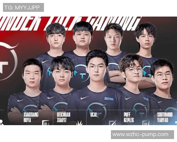 和平精英焦点IG耐力分析与战术应用探讨之道